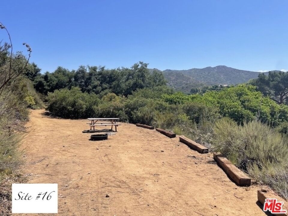 41322 De Luz Road - Photo 12