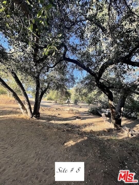 41322 De Luz Road - Photo 9