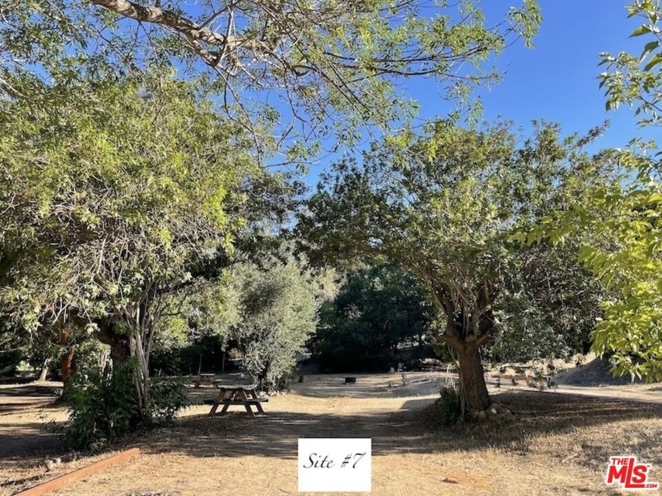 41322 De Luz Road - Photo 8