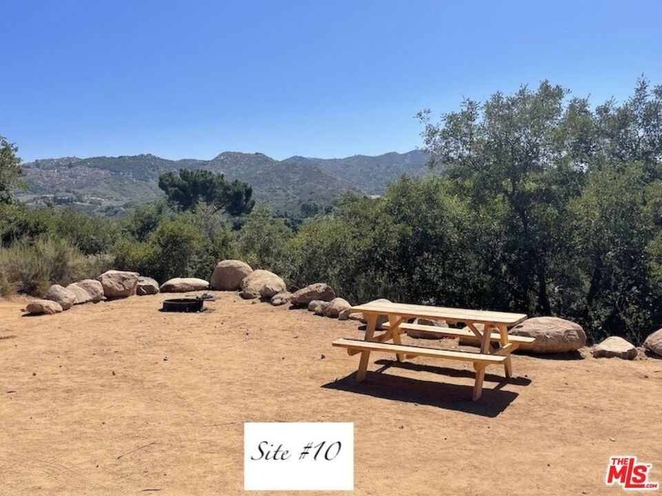 41322 De Luz Road - Photo 11