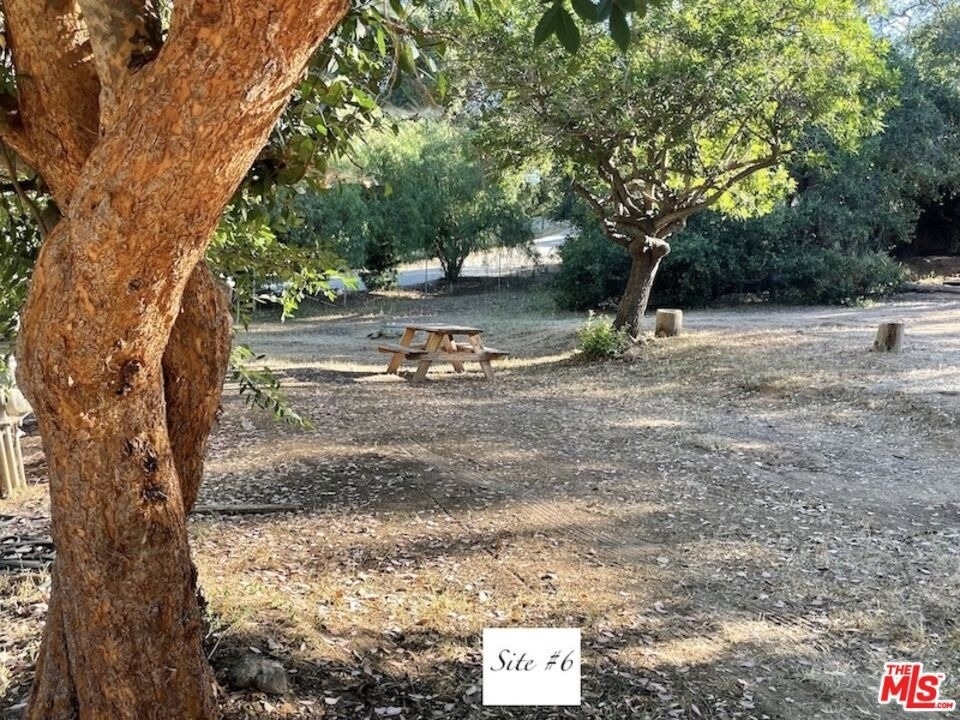 41322 De Luz Road - Photo 7