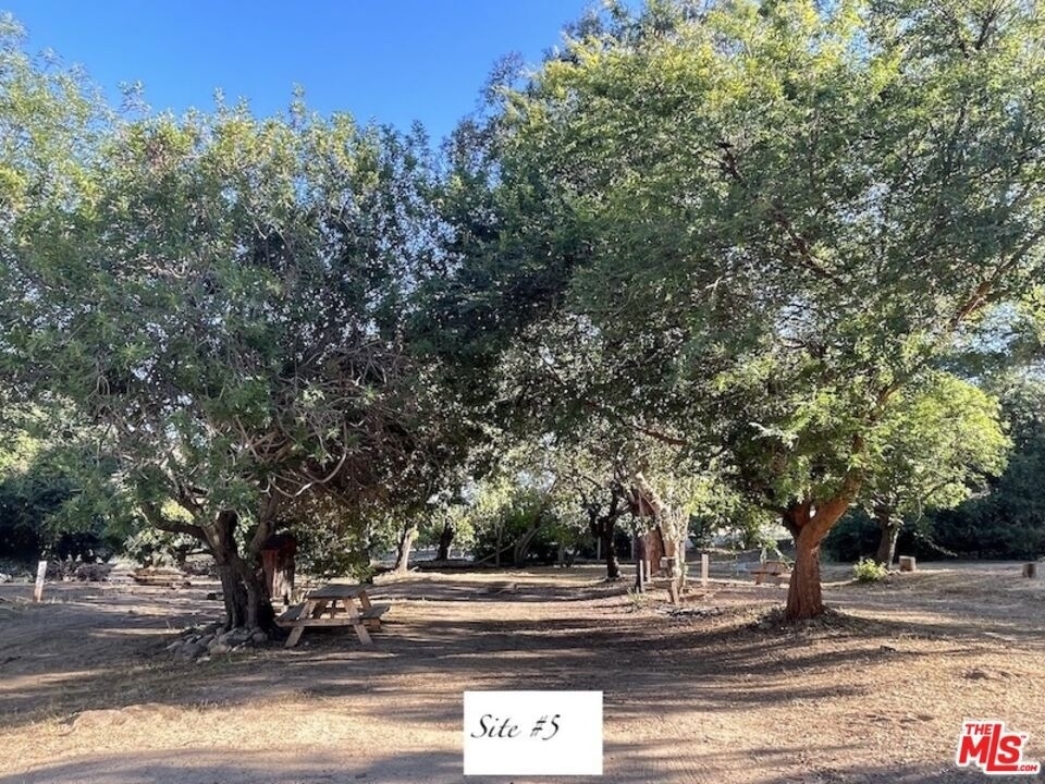 41322 De Luz Road - Photo 5