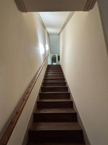 3112 Pavonia Drive - Photo 3