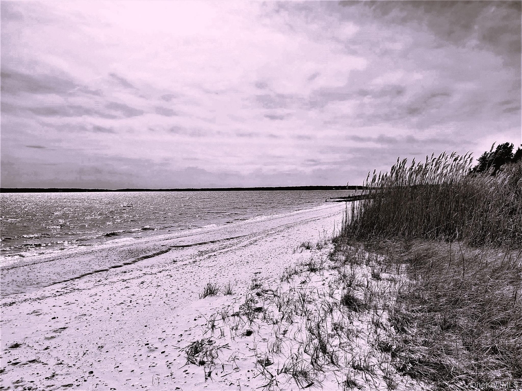 1000 Rambler Road - Photo 23
