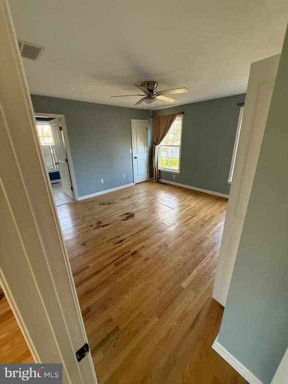 17 Elm Road - Photo 7