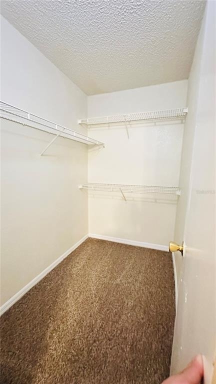 1017 S Hiawassee Road - Photo 10