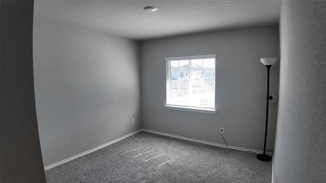 2944 Baneberry Lane - Photo 23