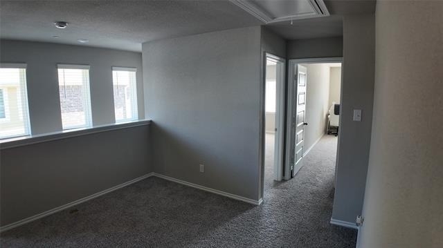 2944 Baneberry Lane - Photo 22
