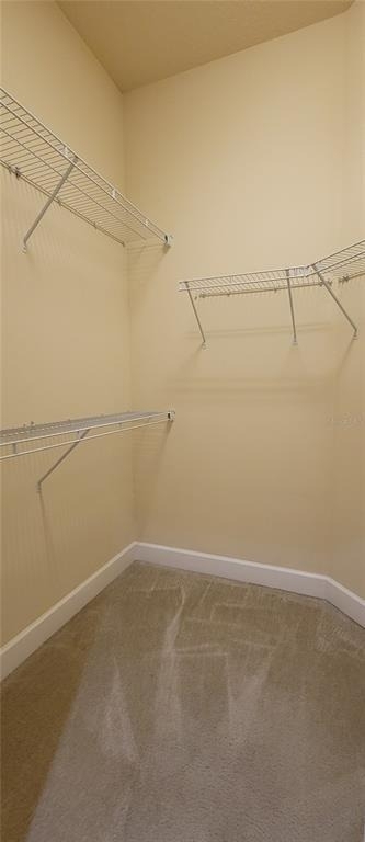 1028 Kilkenny Lane - Photo 19