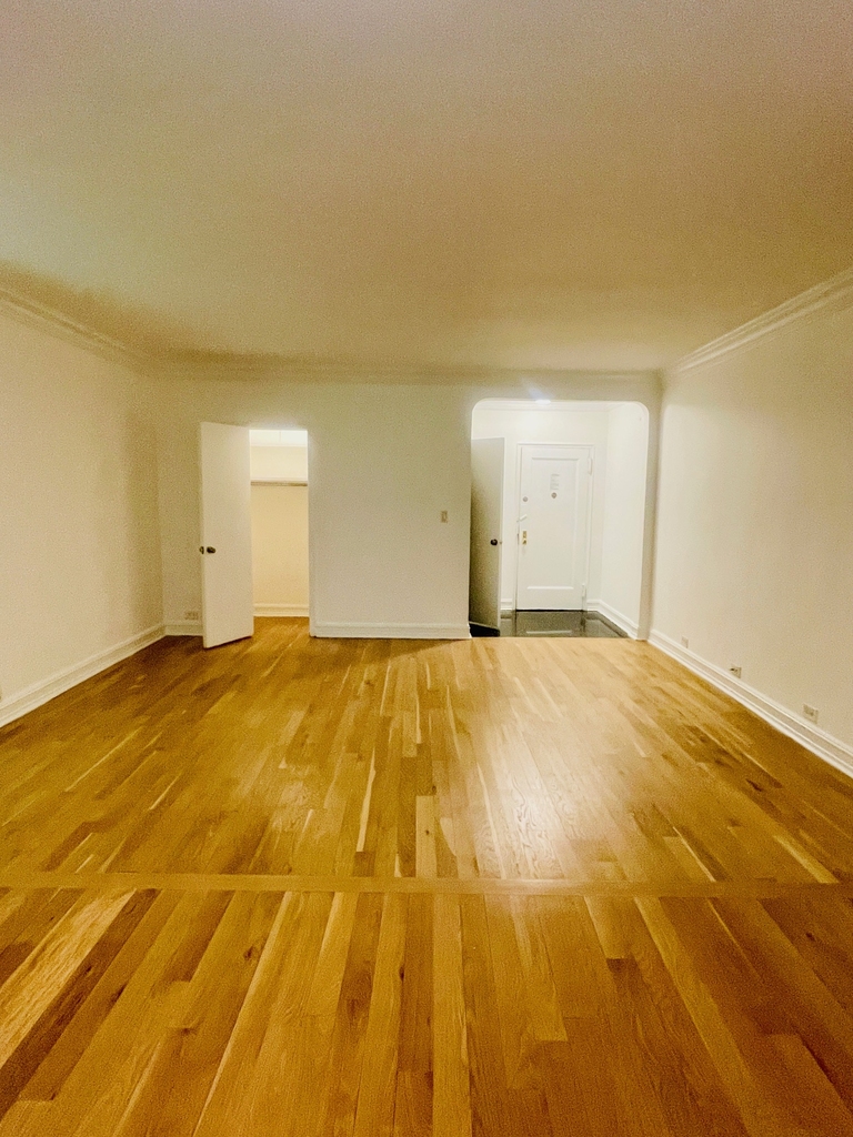 235 East 46th Street - Photo 4