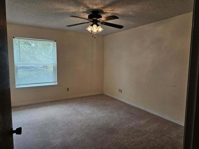 3921 Whiterock Trail - Photo 14