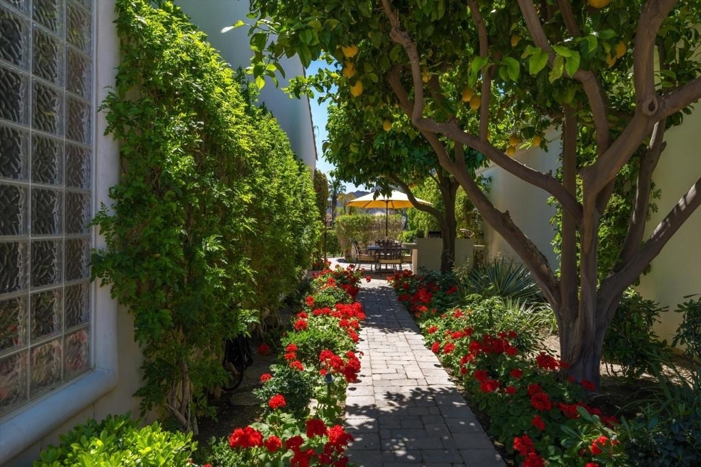 79365 Mandarina - Photo 43