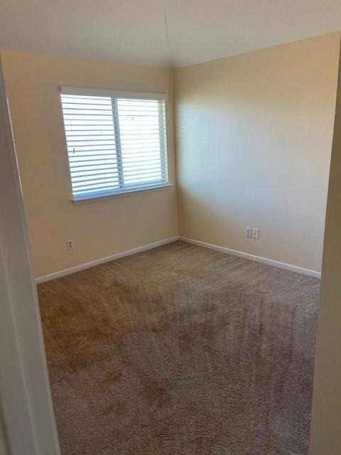 6618 Autumn Thistle Drive - Photo 13