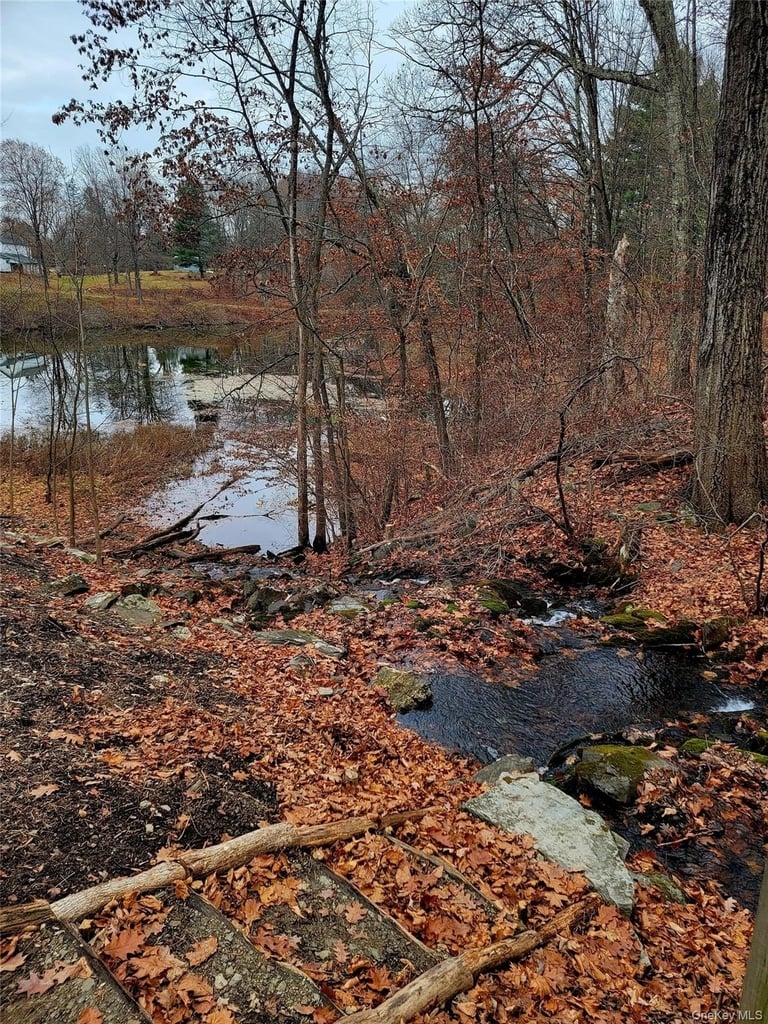 461 Route 199 - Photo 28