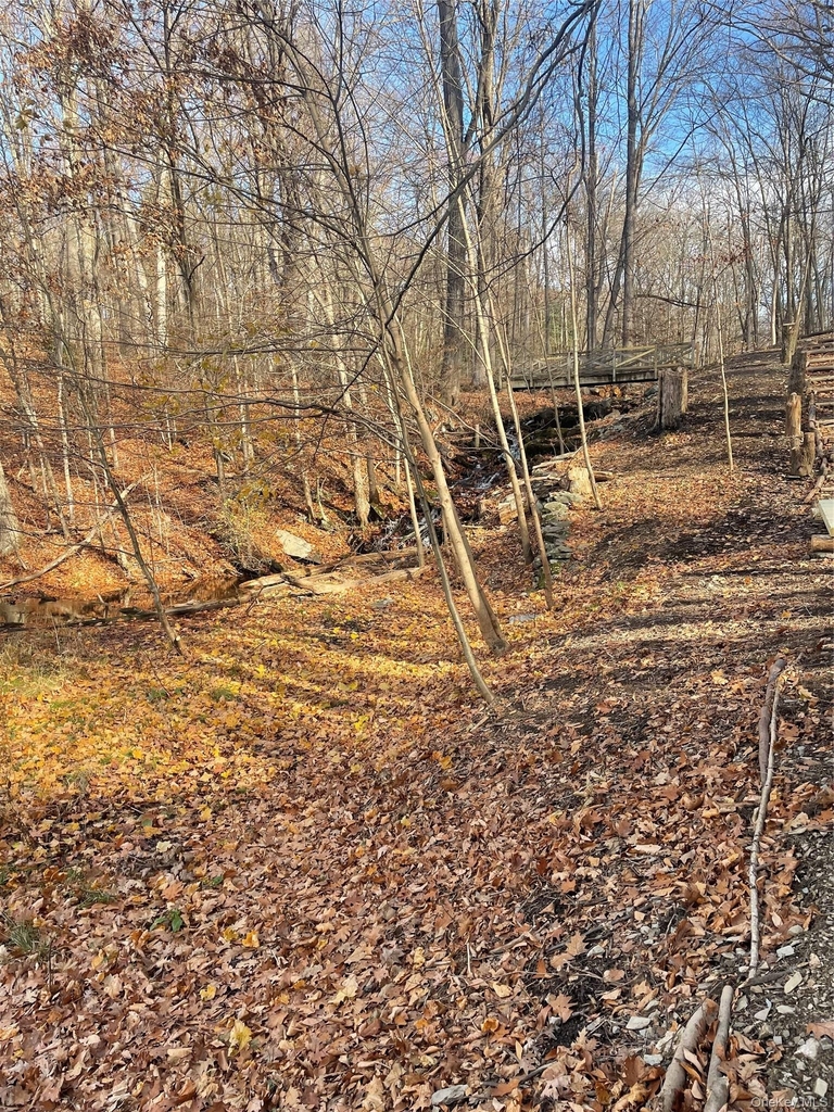 461 Route 199 - Photo 37