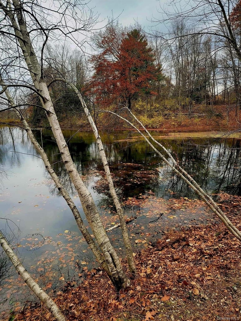 461 Route 199 - Photo 34