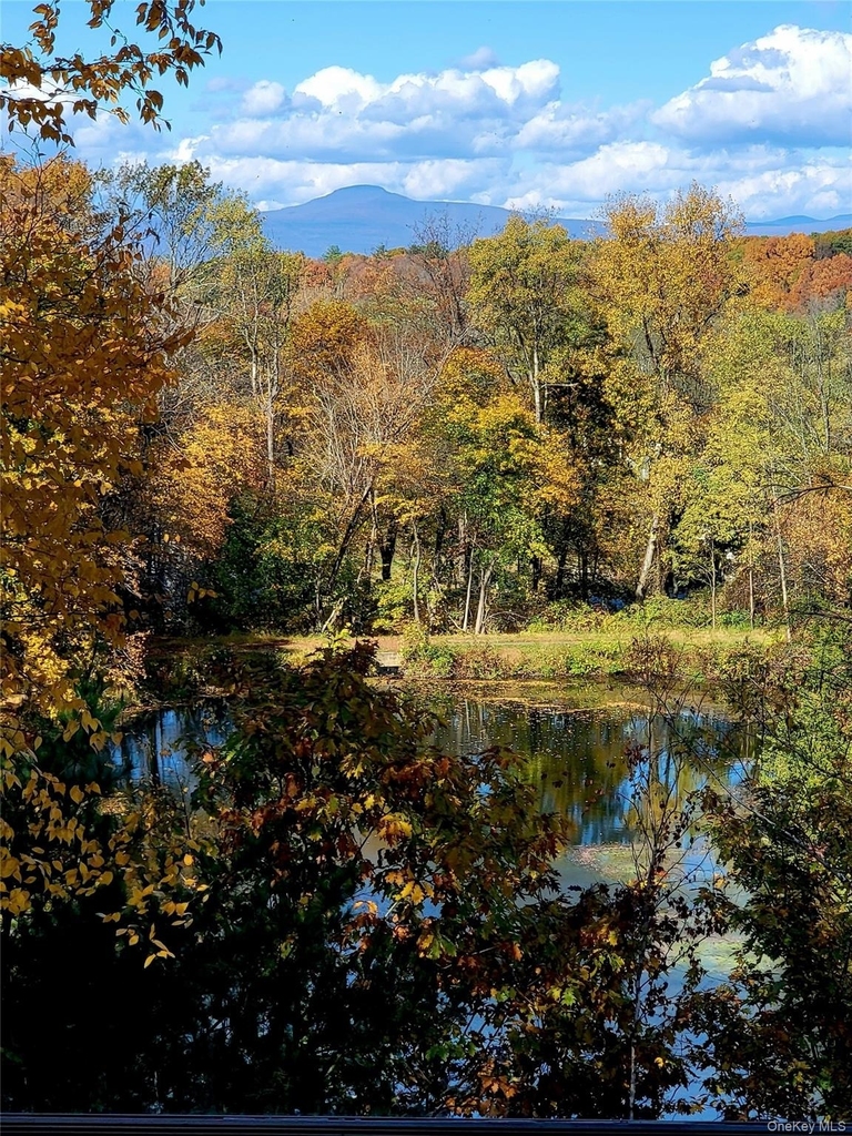 461 Route 199 - Photo 23
