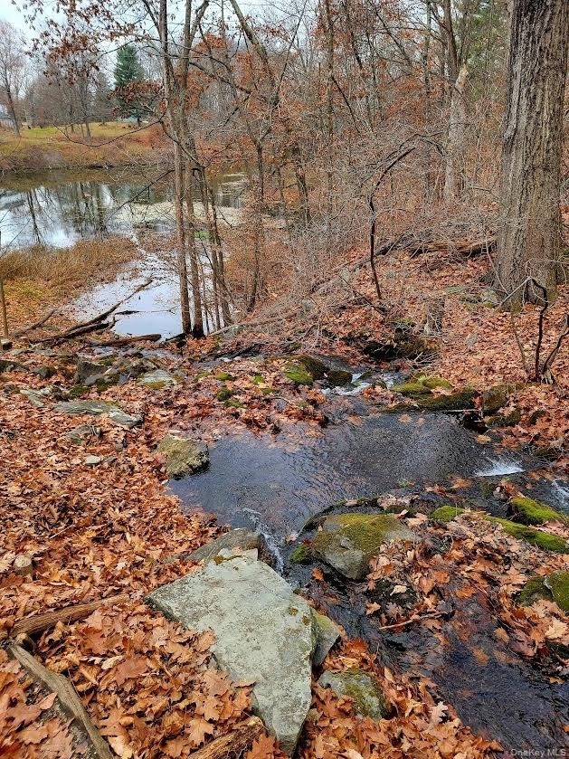 461 Route 199 - Photo 31