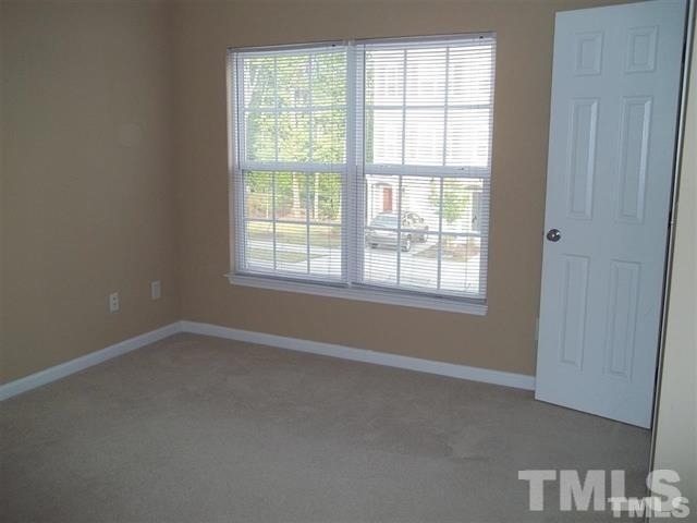 3003 Courtney Creek Boulevard - Photo 12
