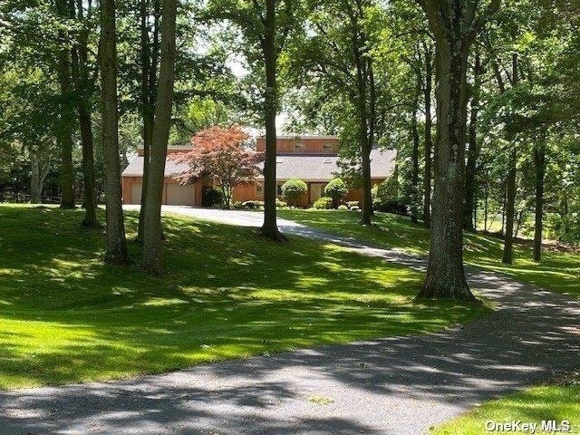 1 Pine Point - Photo 3