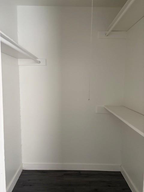 1300 Parker Ln - Photo 3