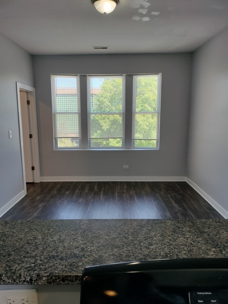 1943 W 48th Street - Photo 10