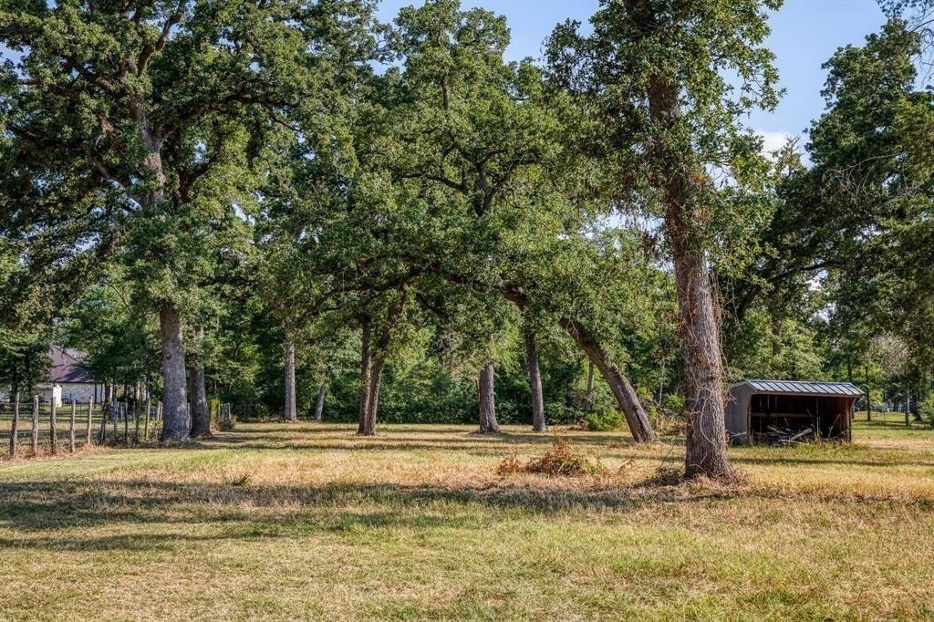 38196 Fm 1736 Road - Photo 10