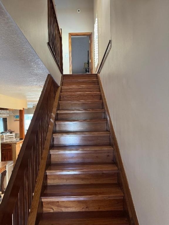409 Fernandina Street - Photo 9