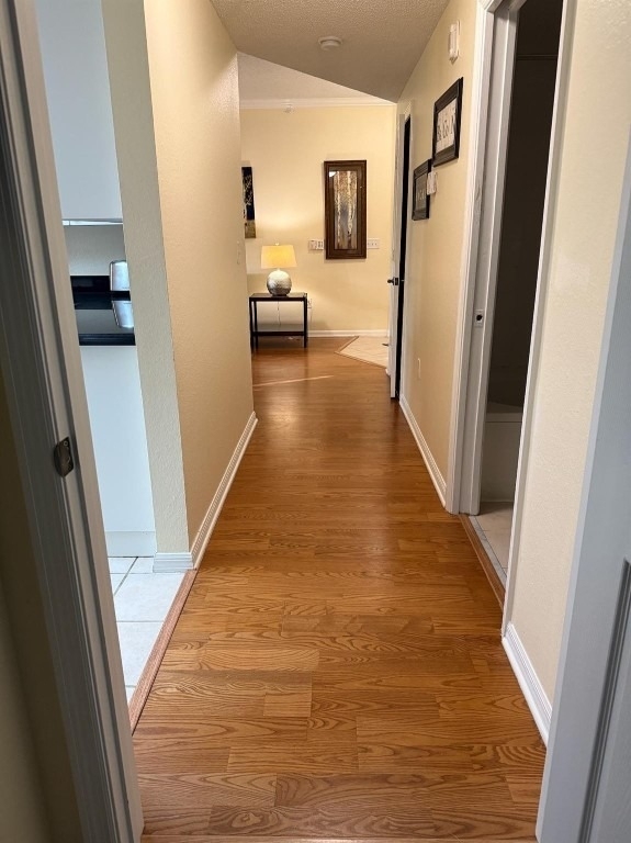 2730 Anzio Court - Photo 13