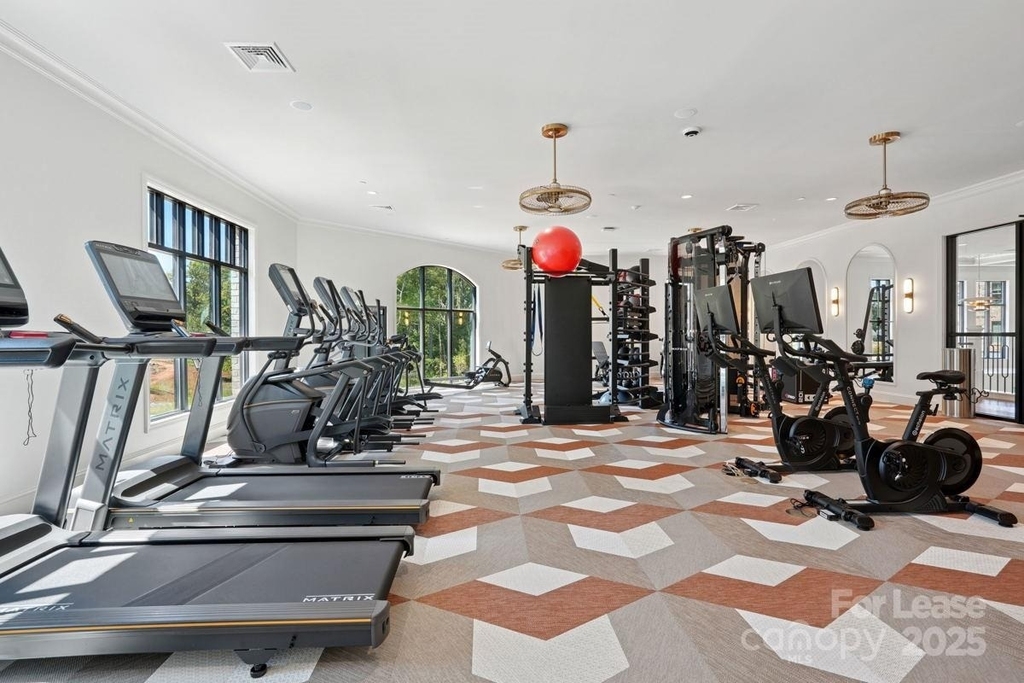 19020 Potts Park Lane - Photo 12