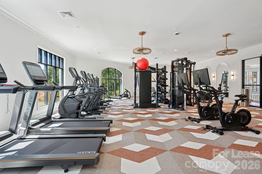 19020 Potts Park Lane - Photo 12