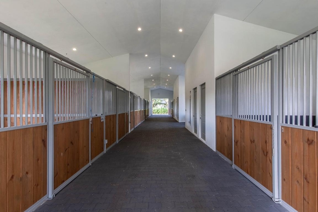 2889 Appaloosa Trail - Photo 31
