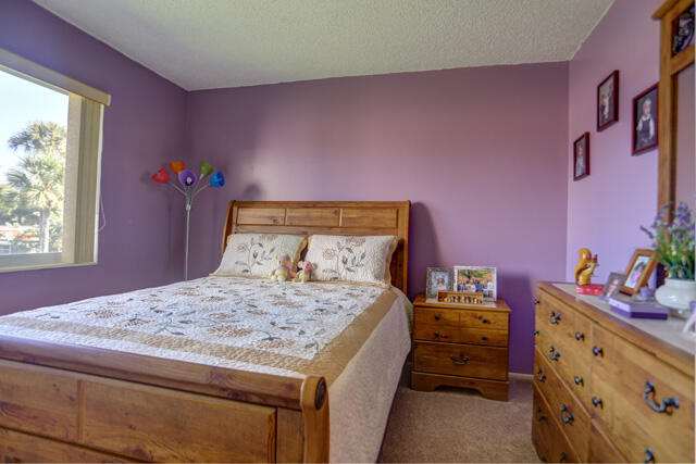 235 Golden River Drive - Photo 8