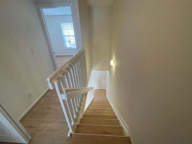 5219 Palmbrooke Circle - Photo 28