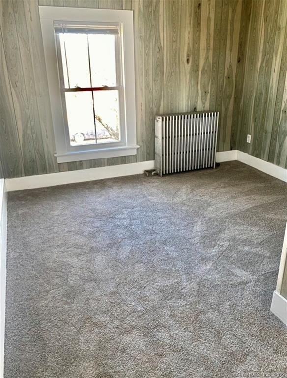 18 Devine Street - Photo 12