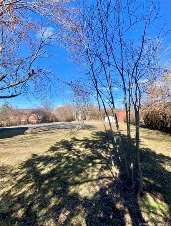 18 Devine Street - Photo 14