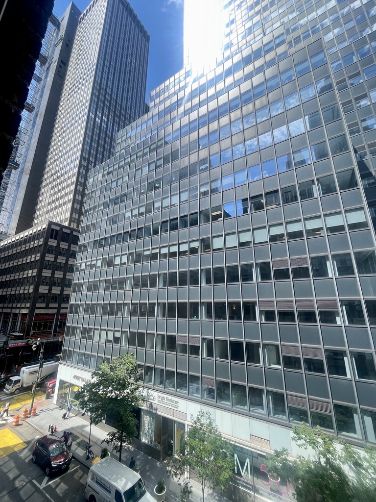 East 46th Street / Lexington - Photo 3