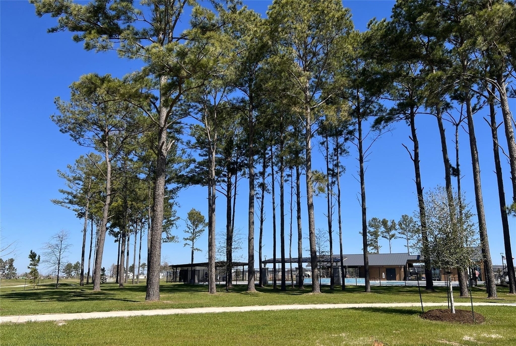 21835 Redwood Bluff Trail - Photo 22