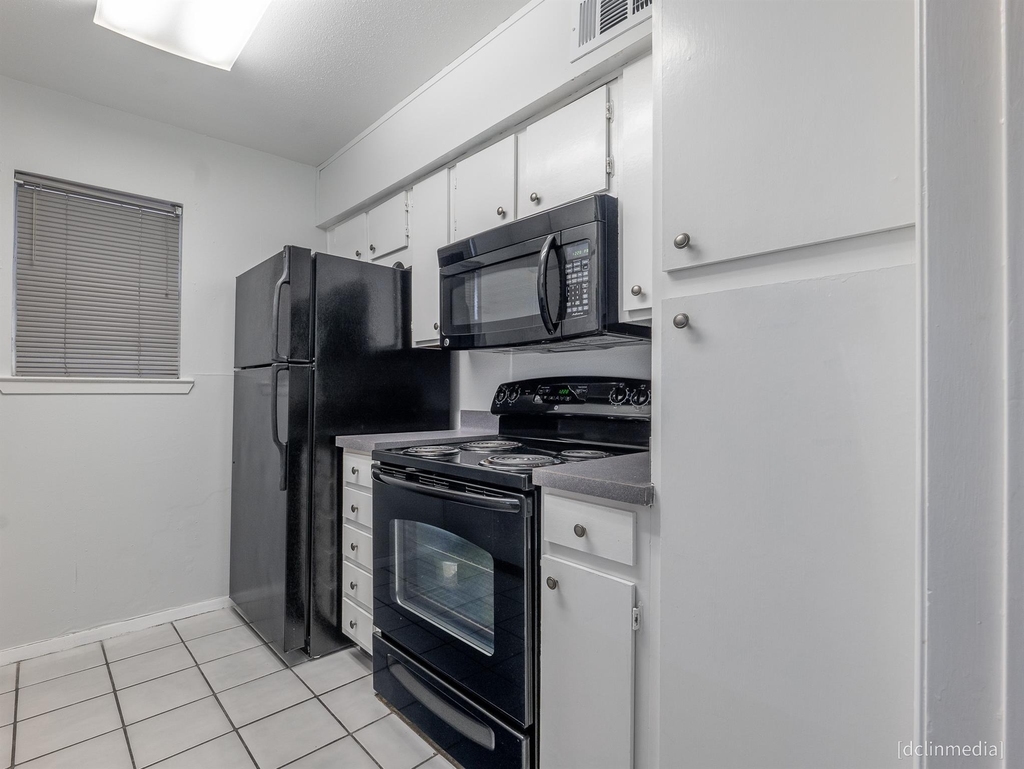 4643 Wild Indigo Street - Photo 4