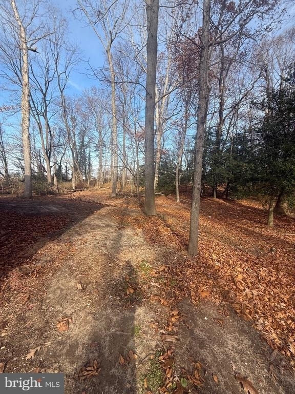 8859 Clendaniel Pond Road - Photo 6