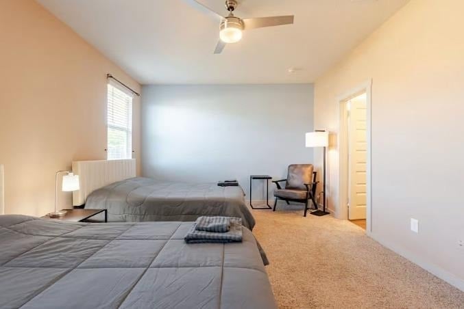 141 Parryi Cv - Photo 17