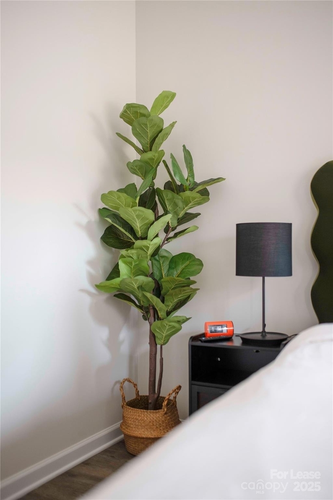 107 Robinson Street - Photo 14