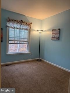 11598 Overleigh Drive - Photo 10