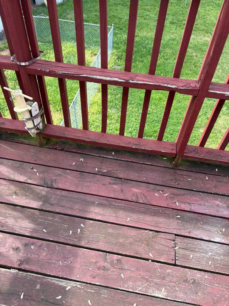 1314 Dorchester Avenue - Photo 12