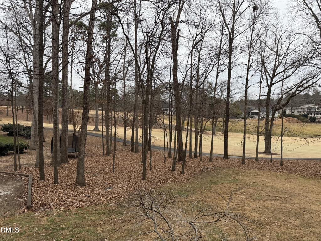7824 Hardwick Drive - Photo 8