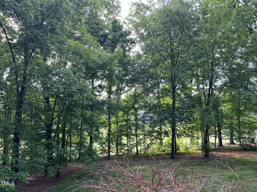 7824 Hardwick Drive - Photo 5