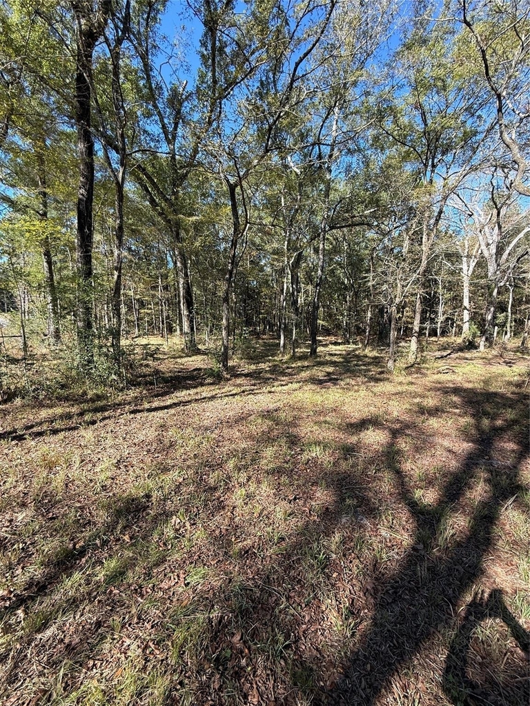 9367 Fm 149 Road - Photo 3