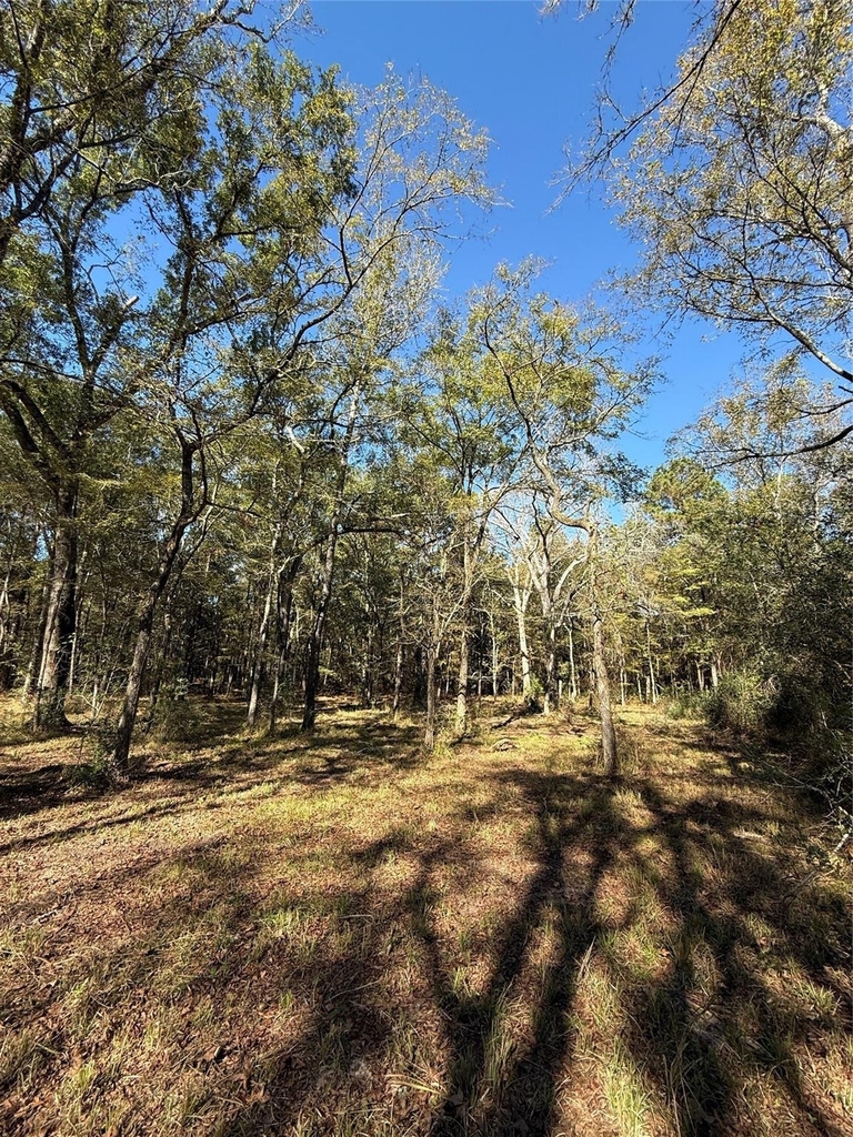 9367 Fm 149 Road - Photo 2