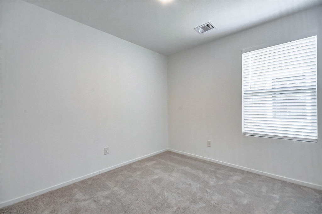 21535 Carosella Drive - Photo 16