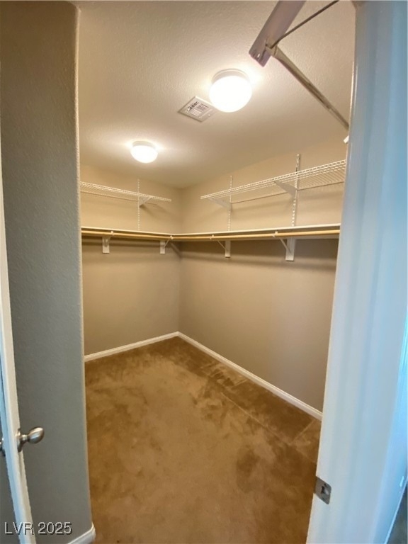 3952 Zodiacal Light Street - Photo 25